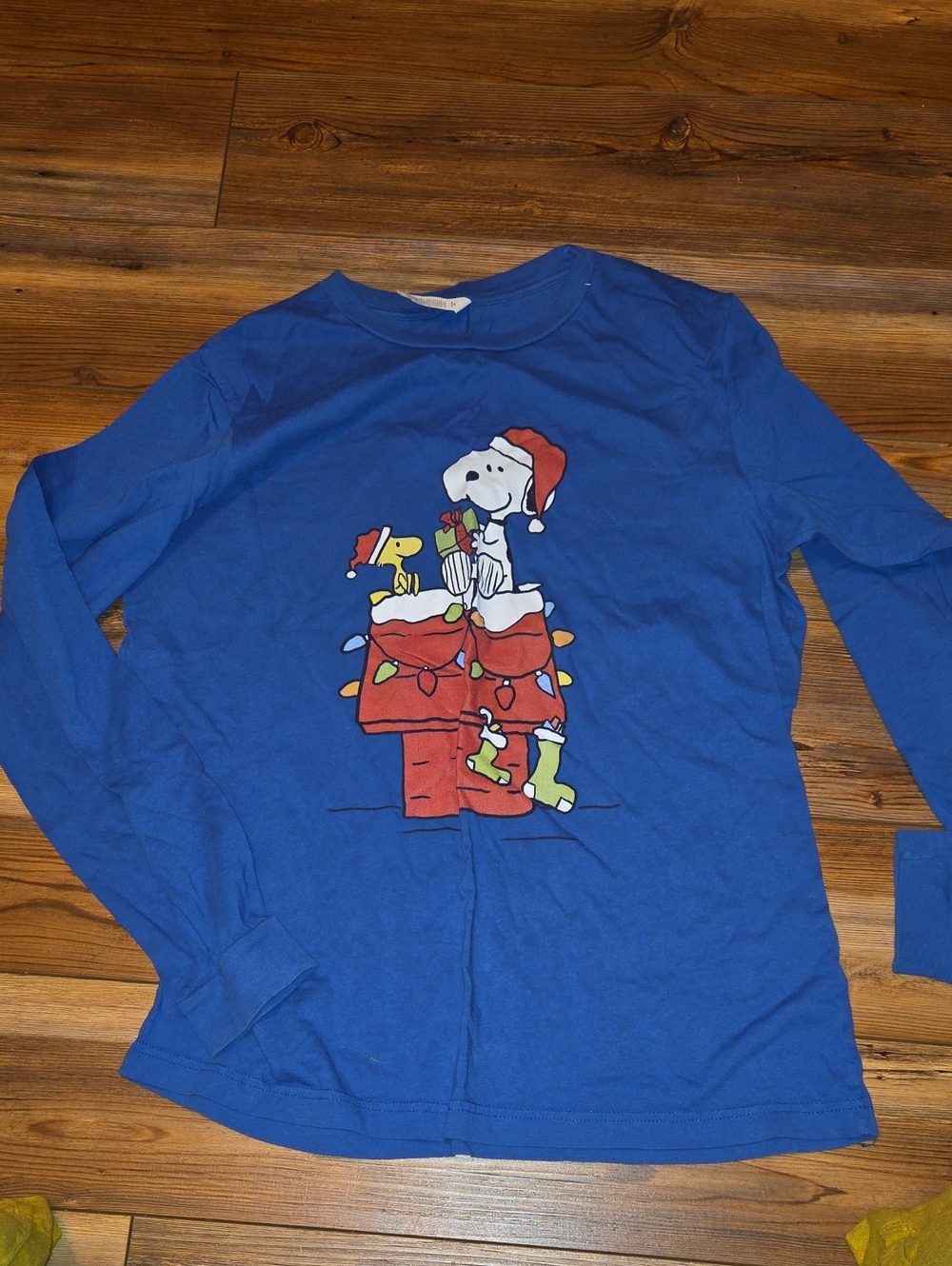 Bella Canvas Blue Snoopy & Woodstock Holiday Long-Sleeve Tee